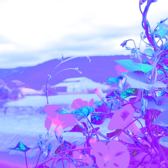 Meet your Posher, Jessy - Picture 1 of 1